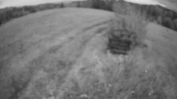 Snímek    26.10.2025 v 06:00