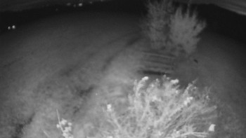 Snímek    26.10.2025 v 18:30
