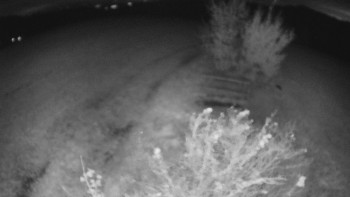 Snímek    26.10.2025 v 19:30