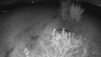 Snímek    26.10.2025 v 22:00