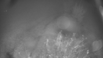 Snímek    27.10.2025 v 17:30