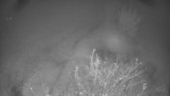 Snímek    27.10.2025 v 18:00