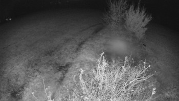 Snímek    27.10.2025 v 18:30