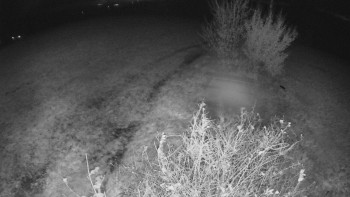 Snímek    27.10.2025 v 19:00