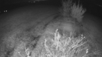 Snímek    27.10.2025 v 19:30