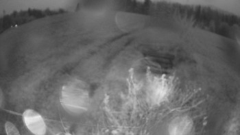 Snímek    28.10.2025 v 17:00