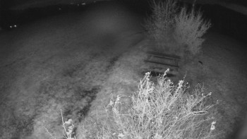 Snímek    28.10.2025 v 19:00