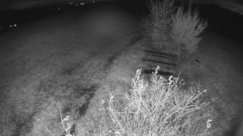 Snímek    28.10.2025 v 19:30