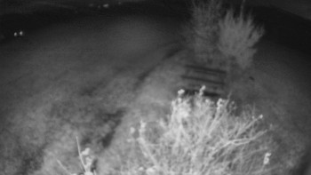 Snímek    28.10.2025 v 20:00