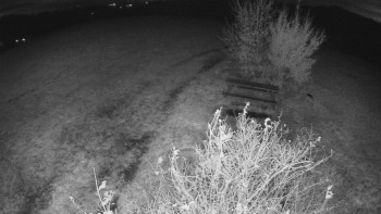 Snímek    28.10.2025 v 21:30