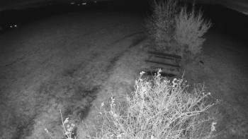 Snímek    28.10.2025 v 23:00