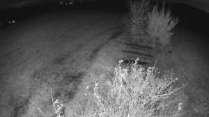 Bludný - Rajnochovice Troják - Bludný - Rajnochovice Troják  - 29.10.2025 v 01:30 Bludný - Rajnochovice Troják - Bludný - Rajnochovice Troják  - 29.10.2025 v 01:30