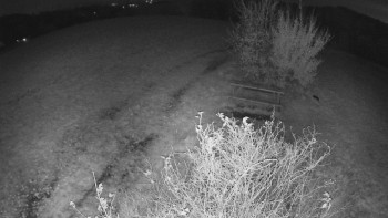 Snímek    29.10.2025 v 19:30