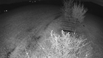 Snímek    31.10.2025 v 03:30