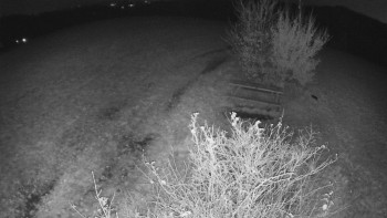 Snímek    31.10.2025 v 05:00