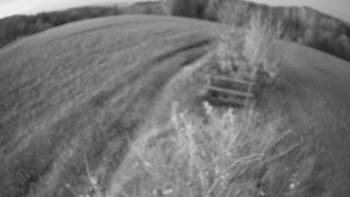 Snímek    31.10.2025 v 17:00