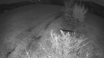 Snímek    31.10.2025 v 18:30