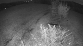 Snímek    31.10.2025 v 19:30