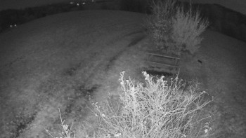 Snímek    31.10.2025 v 20:00