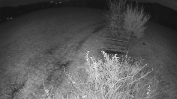 Snímek    31.10.2025 v 23:00