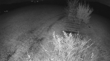 Snímek    1.11.2025 v 03:30