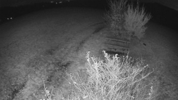 Snímek    1.11.2025 v 05:00