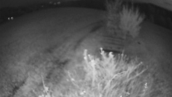 Snímek    1.11.2025 v 05:30