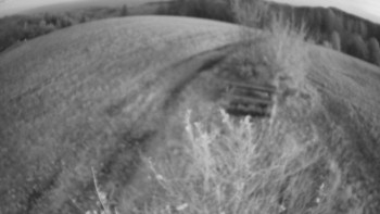 Snímek    1.11.2025 v 06:00