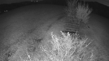 Snímek    1.11.2025 v 20:00