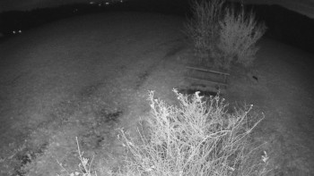 Snímek    1.11.2025 v 21:30