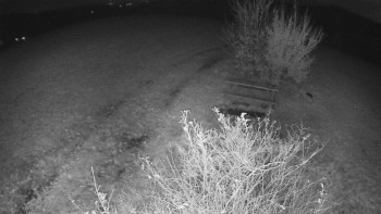 Snímek    2.11.2025 v 05:00