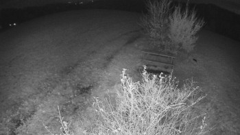 Snímek    2.11.2025 v 05:30