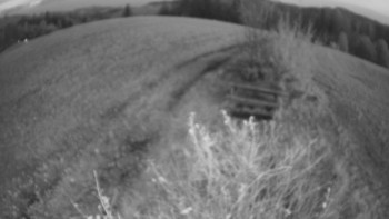 Snímek    2.11.2025 v 06:00