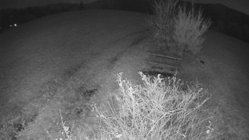 Snímek    2.11.2025 v 20:00