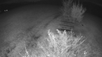 Snímek    2.11.2025 v 23:00