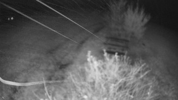 Snímek    3.11.2025 v 01:00