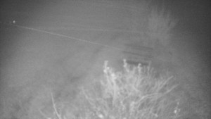 Bludný - Rajnochovice Troják - Bludný - Rajnochovice Troják  - 3.11.2025 v 01:30