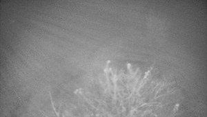 Bludný - Rajnochovice Troják - Bludný - Rajnochovice Troják  - 3.11.2025 v 02:30