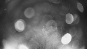 Bludný - Rajnochovice Troják - Bludný - Rajnochovice Troják  - 3.11.2025 v 05:30