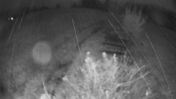 Snímek    3.11.2025 v 06:00