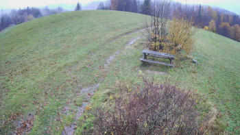 Snímek    3.11.2025 v 11:00