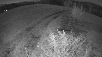 Snímek 6.11.2025 v 05:30