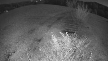 Snímek 6.11.2025 v 19:00