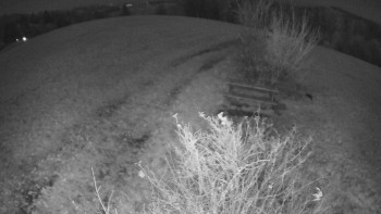 Snímek 7.11.2025 v 03:00