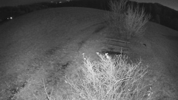 Snímek 7.11.2025 v 18:00