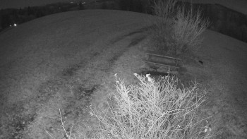 Snímek 8.11.2025 v 04:30