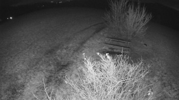 Snímek 8.11.2025 v 18:30