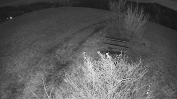 Snímek 8.11.2025 v 23:00