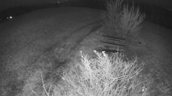 Snímek    9.11.2025 v 05:30