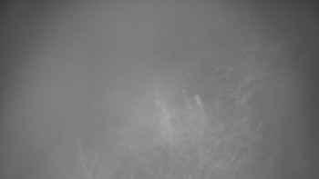 Snímek    9.11.2025 v 17:00